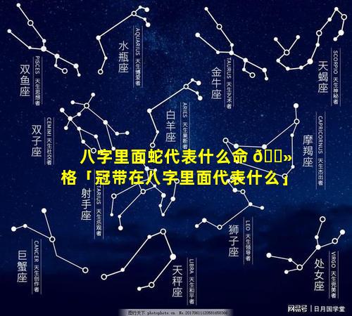 八字里面蛇代表什么命 🌻 格「冠带在八字里面代表什么」